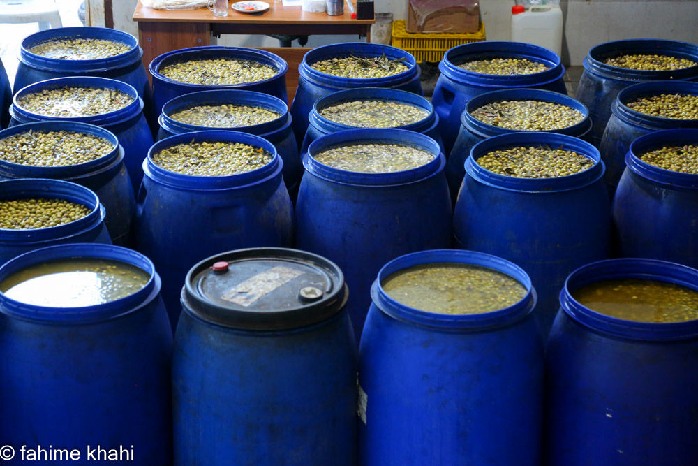 از لمس شاخه تا عصاره ی نور  