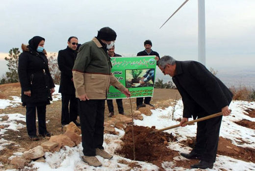آغاز پویش ملی نهالکاری با همکاری گروه های مردمی و جهادی در تفرجگاه عون بن علی