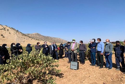 یاوران تولید فارس در باغ های سپیدان 