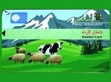 صدور دامدار کارت در استان ایلام آغاز شد