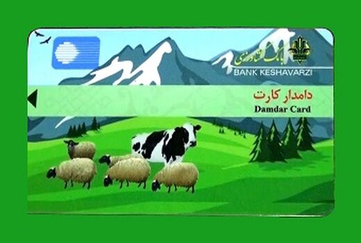 صدور دامدار کارت در استان ایلام آغاز شد