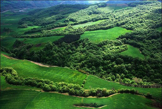 شناسایی 15 منطقه با تنوع زیستی بالا در جنگل‌های هیرکانی