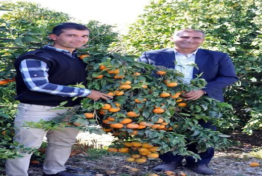 نقشه راه، رمز موفقیت در فعالیت باغداری است 