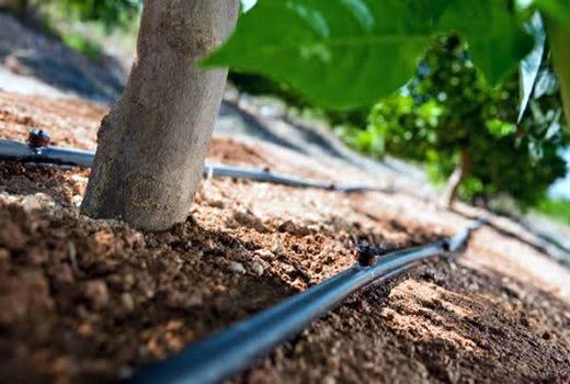 تجهیز 11 هکتار از باغات شهرستان سامان به سامانه های نوین آبیاری