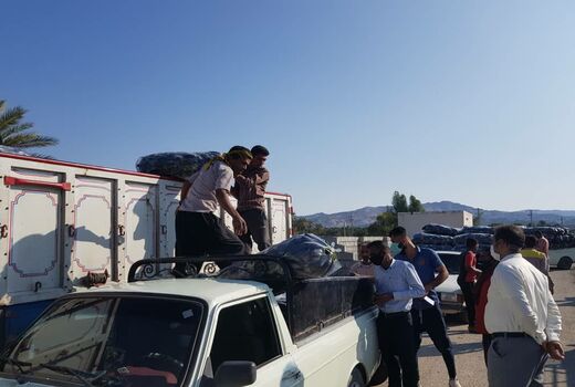 150 تن بادمجان از کشاورزان هرمزگانی خریداری شد