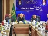 برنامه‌ریزی دولت برای تبدیل سیستان و بلوچستان به هاب تولید گوشت قرمز ایران