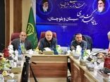 برنامه‌ریزی دولت برای تبدیل سیستان و بلوچستان به هاب تولید گوشت قرمز ایران
