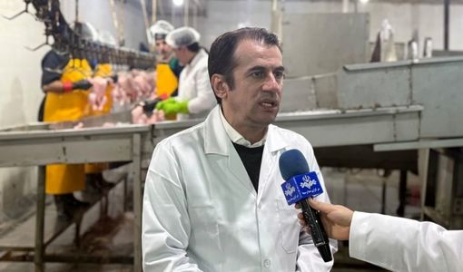 افزایش عملیات واکسیناسیون و کاهش محسوس کانون بیماری‌های دام در آذربایجان شرقی طی سال 1404