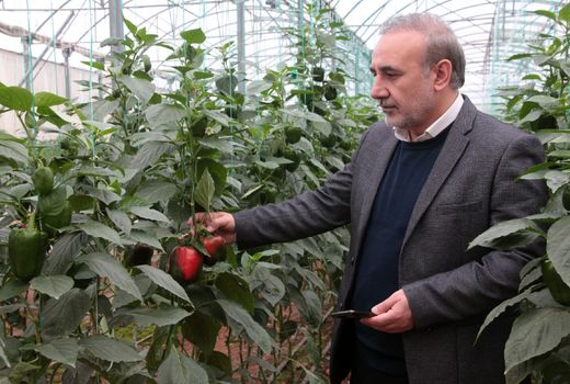 بازدید از مجتمع گلخانه ای دیناروند