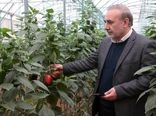 بازدید از مجتمع گلخانه ای دیناروند