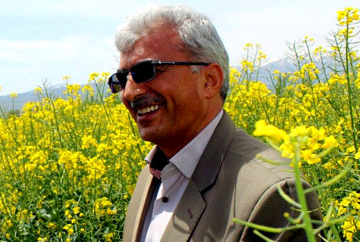 افزایش ۳۵ درصدی قیمت خرید تضمینی کلزا نسبت به سال گذشته 