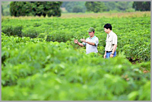 چالش‌های پیش رو در  کشت فراسرزمینی