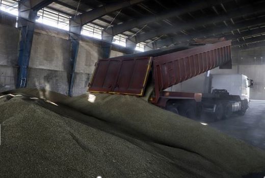 پیش‌بینی برداشت ۲۶۵ هزار تن گندم در خراسان شمالی