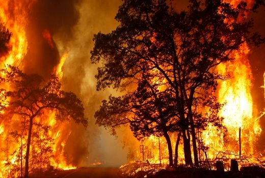  20 هزار نفر برای اطفای حریق در عرصه های طبیعی آموزش می‌بینند