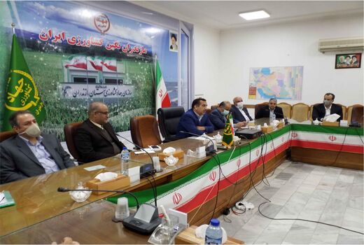 50 هزار تن مرغ تنظیم بازاری در مازندران خریداری شد