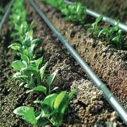 اجرای سامانه‌های نوین آبیاری در 750 هکتار از اراضی کشاورزی چالدران