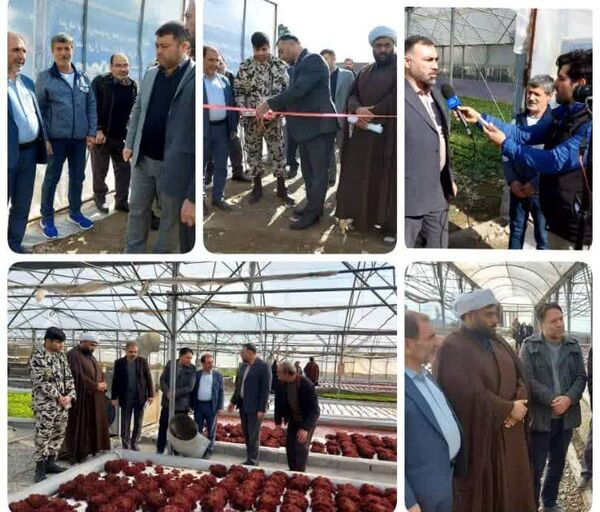افتتاح گلخانه سبزی و صیفی در سرحدآباد شهرستان فردیس
