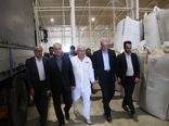 تأمین ۹۰ درصد گوشت قرمز کشور از تولید داخل تا پایان برنامه هفتم توسعه