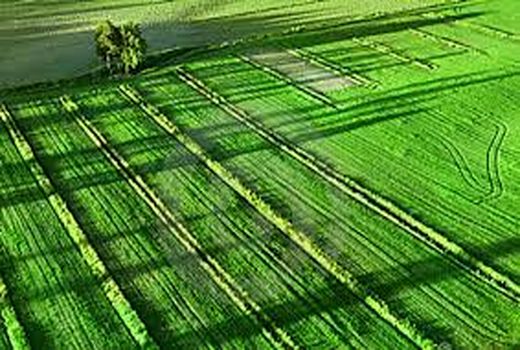 شیوه‌نامه یکپارچگی و تجمیع اراضی کشاورزی تدوین می‌شود
