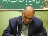 پیام وزیر جهادکشاورزی به مناسبت «روز ملی گندم و نان»