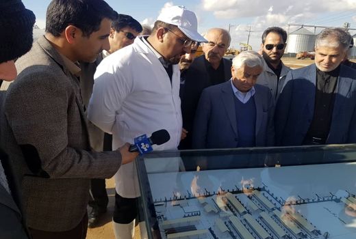 سفر سرپرست وزارت جهاد کشاورزی به استان کرمانشاه 98/10/19