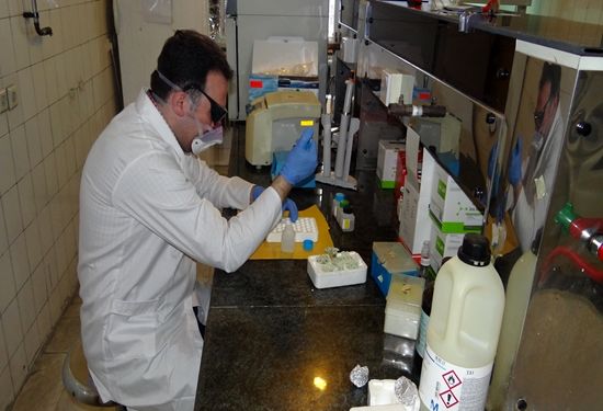 انجام بیش از 59 هزار مورد آزمایش تشخیصی دامپزشکی در آذربایجان غربی