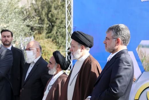 روز درختکاری سال 1401