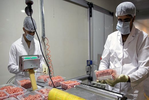 صدور ۱۷۷ پروانه بهره برداری صنایع تبدیلی و تکمیلی کشاورزی در ایلام