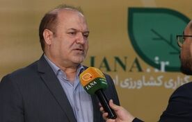 دقت آمار حوزه طیور به بیش از ۹۰ درصد رسید+ فیلم