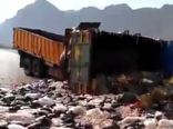 معدوم سازی ضایعات مرغ در پاسارگاد