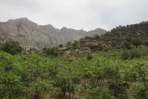 طرح پارسل بندی اراضی ملی چهار محال و بختیاری اجرا شد