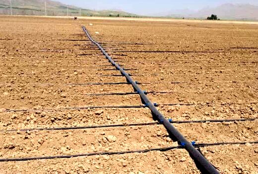 لزوم سرویس و نگهداری از سامانه های نوین آبیاری در زمستان
