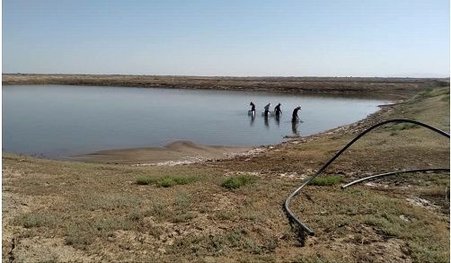 آغازبرداشت بیومس از دومین مزرعه بزرگ پرورش آرتمیا در مجتمع شیلاتی فسندوز میاندوآب