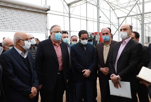 بازدید استاندار قزوین و هیئت همراه از شهرک گلخانه‌ای نودهک تاکستان