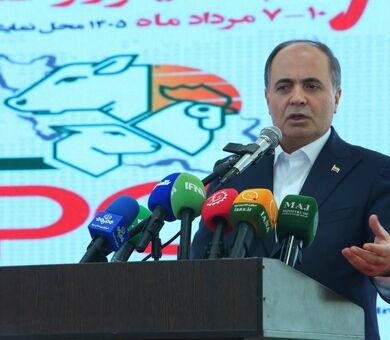 تأمین کالاهای اساسی با وجود محاصره دریایی ادامه دارد / اصلاحات ارزی بازار نهاده‌های دامی را شفاف کرد