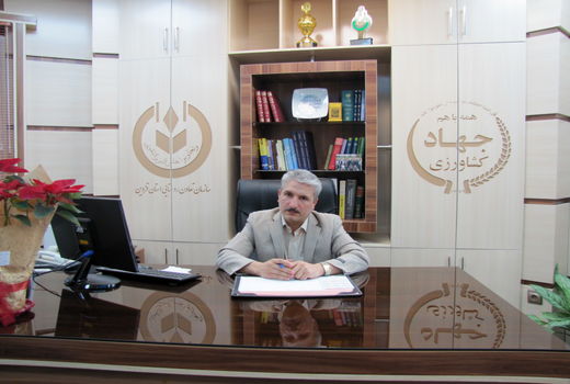 52 هزار تن نهاده‌های دامی تامین و توزیع شد