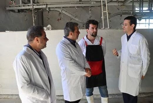 بازدید مدیر کل دامپزشکی و مدیرکل دیوان محاسبات استان آذربایجان شرقی از کشتارگاه صنعتی میانه