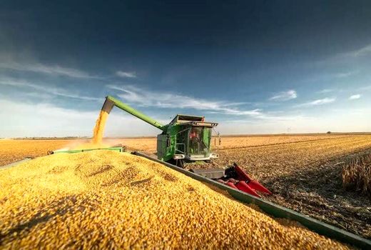 ۷۵ درصد مطالبه گندمکاران بوکان پرداخت شد