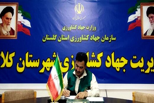 پیش‌بینی برداشت ۴هزار تن کلزا از مزارع کلاله
