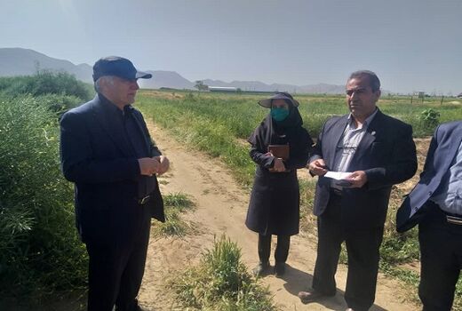بازدید سرپرست معاونت  امور زراعت در وزارت جهاد کشاورزی از رهاسازی آب سد درودزن زرقان