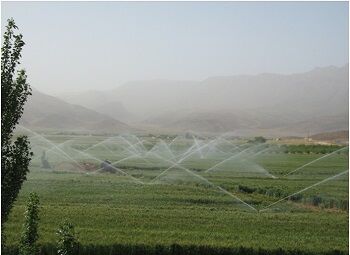 باغداران زیودار برای مجهز کردن باغات خود به آبیاری نوین اقدام کنند