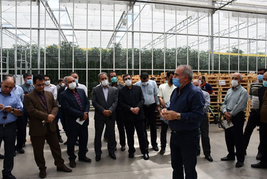 بازدید مدیران جهادکشاورزی آذربایجان شرقی از مجتمع گلخانه‌ای ارس تارلا در جلفا