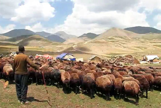  تولید بیش از یک هزار تن فرآورده دامی توسط عشایر سهند در شهرستان مراغه