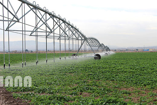 تولید در خشک‌ترین سال کشور، افزایش یافت