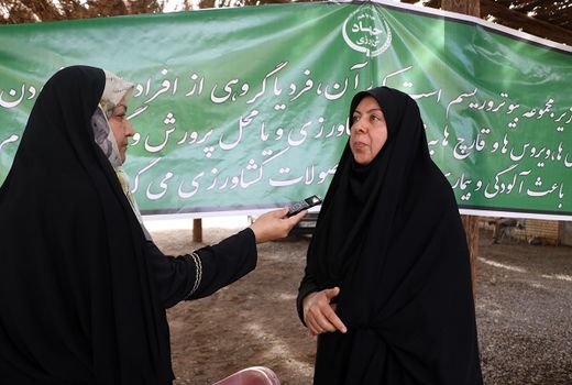 باغداران کرمانی از جابه جایی پاجوش های آلوده به سوسک سرخرطومی حنایی خودداری کنند