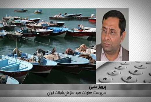 تصویب سهمیه بنزین یارانه‌ای صیادان