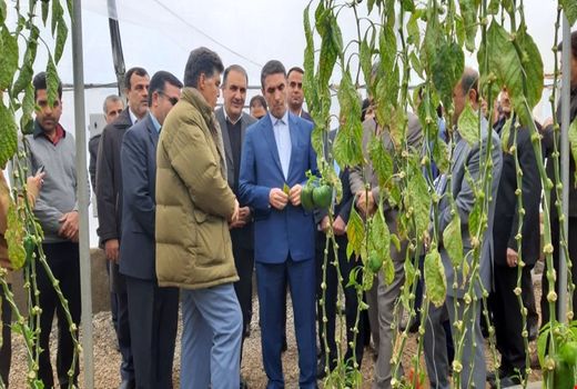 بررسی مشکلات تولیدکنندگان شهرک گلخانه‌ای امان‌آباد اراک