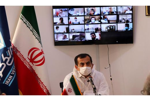 فعالیت 8 میلیون واحد دامی در مازندران/ لزوم مبارزه پدافندی با تهدیدات زیستی