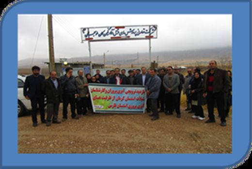 برنامه ریزی ارتقای دانش فنی و تجربه آبزی پروران و کارشناسان شیلاتی استان کرمان