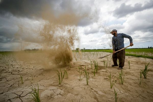 خاک تمام می‌شود